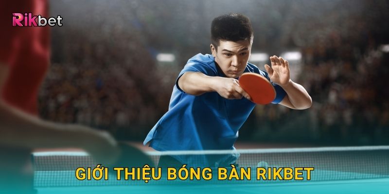 Giới thiệu Bóng Bàn Rikbet