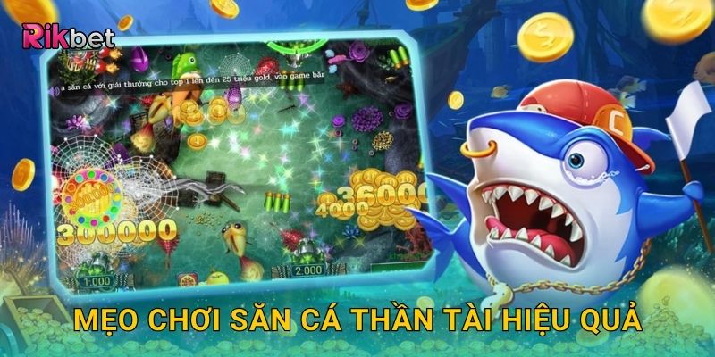 Mẹo chơi Săn Cá Thần Tài hiệu quả